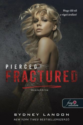 Pierced Fractured - Összetörve - Sydney Landon