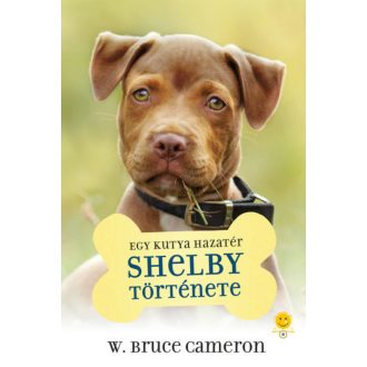 Egy kutya hazatér - W. Bruce Cameron