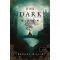 One Dark Window - Egy sötét ablak - Rachel Gillig