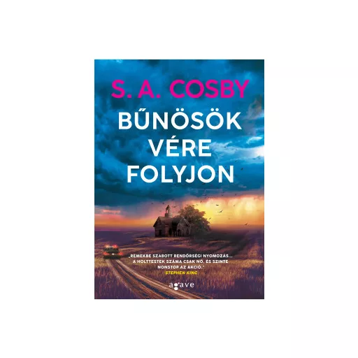 Bűnösök vére folyjon - S. A. Cosby