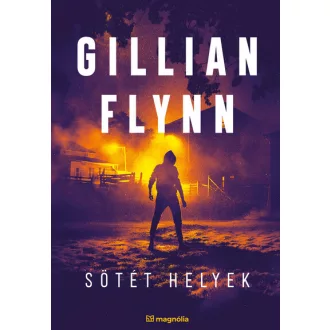 Sötét helyek (Új kiadás) - Gillian Flynn