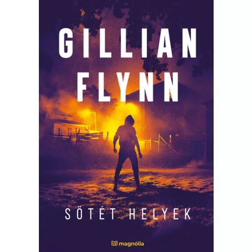 Sötét helyek (Új kiadás) - Gillian Flynn