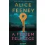 A férjem felesége - Alice Feeney