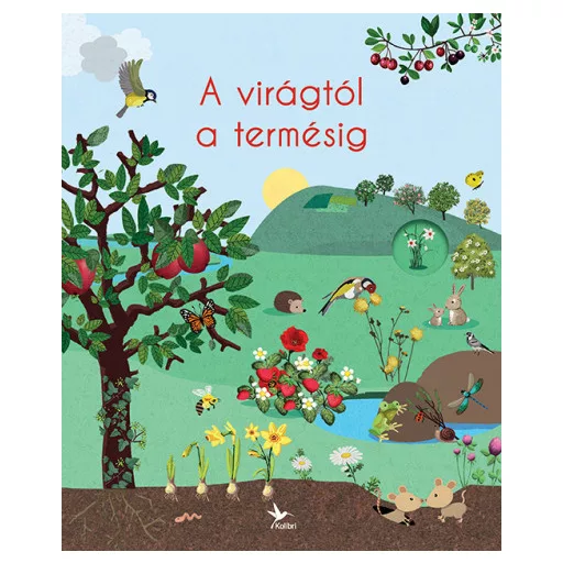 A virágtól a termésig