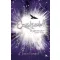 Nevermoor 4. - Ezüstszülött - Morrigan Crow sötét titka - Jessica Townsend