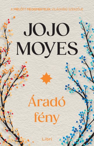 Áradó fény - Jojo Moyes