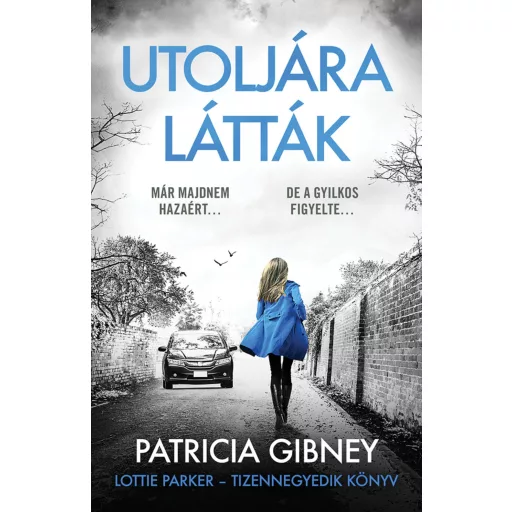 Utoljára látták - Lottie Parker 14. - Patricia Gibney