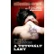 A tetovált lány - zsebkönyv – Stieg Larsson