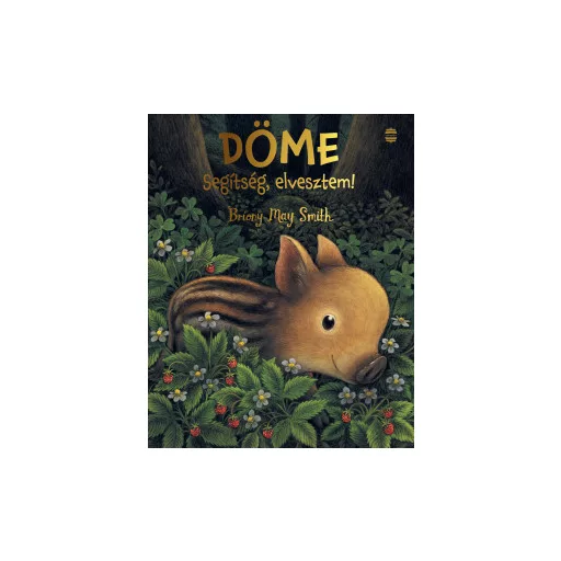Döme - Segítség, elvesztem! - Briony May Smith