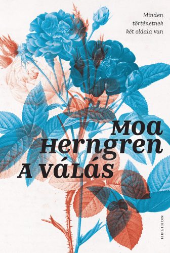 A válás - Moa Herngren