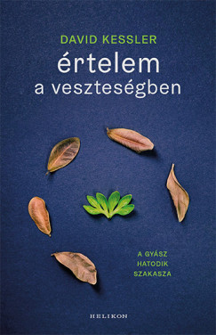 Értelem a veszteségben - David Kessler