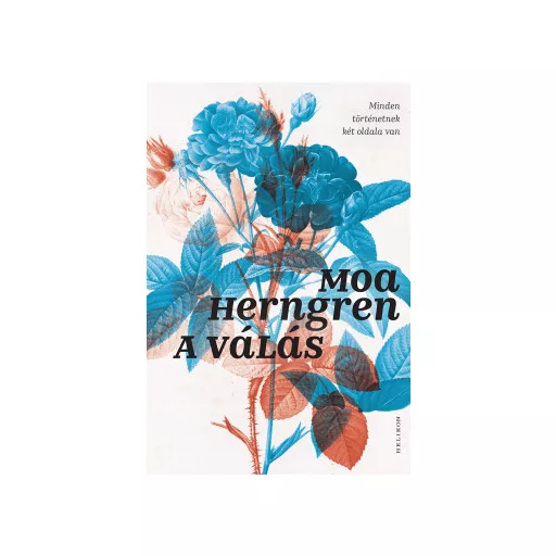 A válás (Új kiadás) - Moa Herngren
