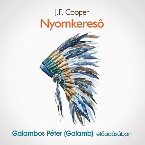 Nyomkereső - hangoskönyv - Galambos Péter (Galamb) előadásában