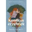 Komikus érzelmek (Éldekorált) - Tarah DeWitt