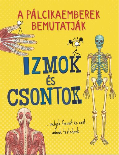 A pálcikaemberek bemutatják - Izmok és csontok - John Farndon