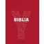 Y-Biblia - Ifjúsági Biblia (Biblia)