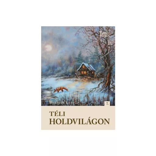 Téli holdvilágon - Borsodi László