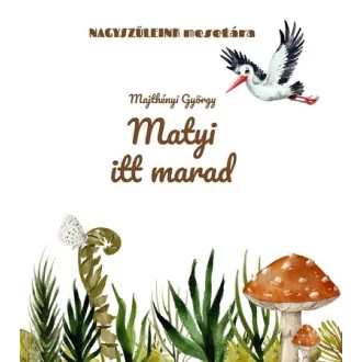 Matyi itt marad - Majthényi György