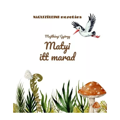 Matyi itt marad - Majthényi György