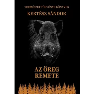 Az öreg remete - Kertész Sándor
