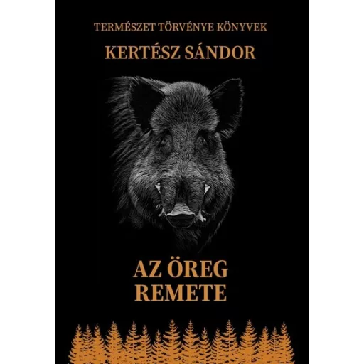 Az öreg remete - Kertész Sándor