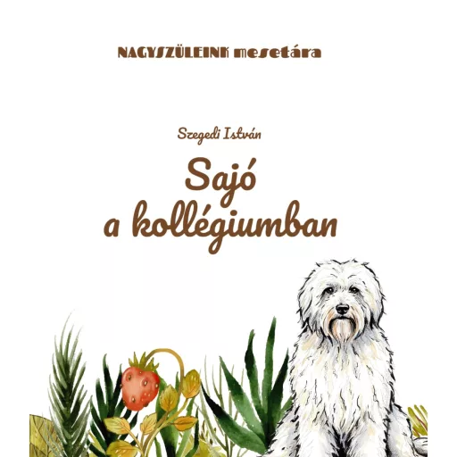 Sajó a kollégiumban - Szegedi István