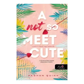   A Not So Meet Cute - A (nem is olyan) nagy találkozás - Meghan Quinn