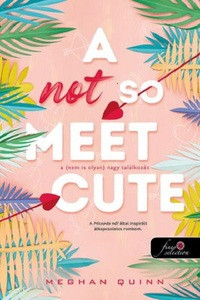 A Not So Meet Cute - A (nem is olyan) nagy találkozás - Meghan Quinn