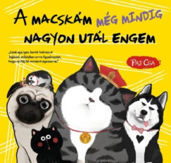A macskám még mindig nagyon utál engem - Paj Csa