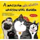 A macskám még mindig nagyon utál engem - Paj Csa