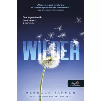 Wilder - A Renegátok 1. - Rebecca Yarros