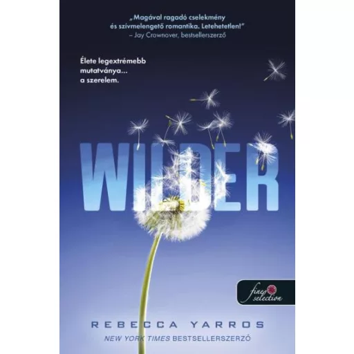 Wilder - A Renegátok 1. - Rebecca Yarros