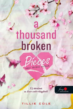 A Thousand Broken Pieces - Ezer törött szilánk - Tillie Cole