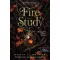 Fire Study - Tűztan - Maria V. Snyder