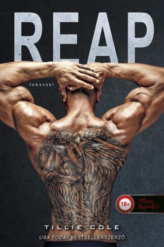 Reap - Lekaszál - Scarred Souls 2. - Tillie Cole