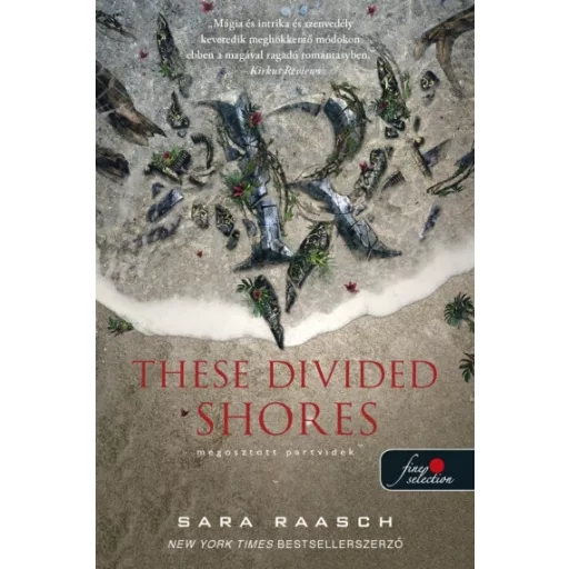 These Divided Shores - Megosztott partvidék - Folyami kalózok 2. - Sara Raasch