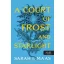 A Court of Frost and Starlight - Fagy és csillagfény udvara (Új kiadás) (Új borító) - Sarah J. Maas