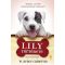 Lily története - Egy kutya négy élete - Bruce W. Cameron