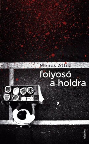 Ménes Attila: Folyosó a holdra