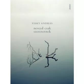 Visky András: Nevezd csak szeretetnek