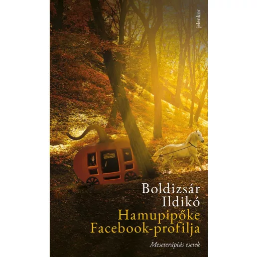 Hamupipőke Facebook-profilja - Meseterápiás esetek