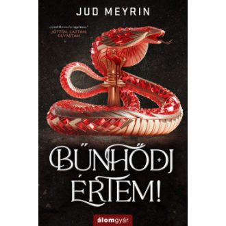 Bűnhődj értem! - Jud Meyrin