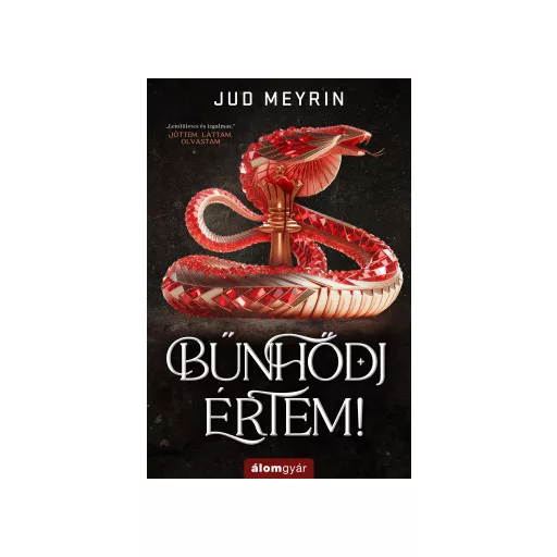 Bűnhődj értem! - Jud Meyrin