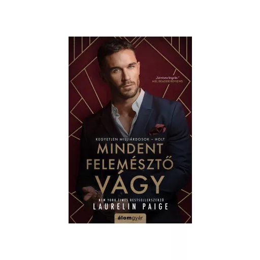 Mindent felemésztő vágy - Laurelin Paige