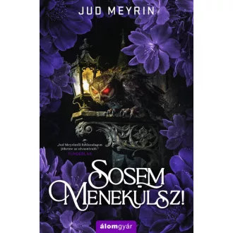 Sosem menekülsz! - Jud Meyrin