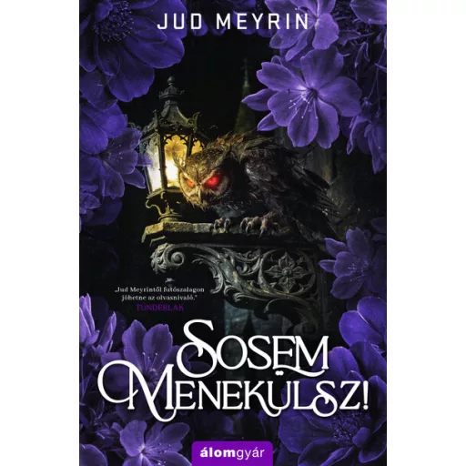 Sosem menekülsz! - Jud Meyrin