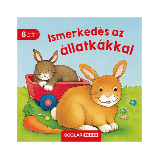 Ismerkedés az állatkákkal - Monika Neubacher-Fesser