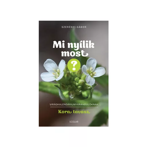 Mi nyílik most? - Kora tavasz - Szerényi Gábor