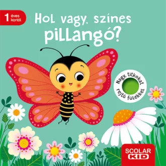 Hol vagy, színes pillangó? - Klara Tünner