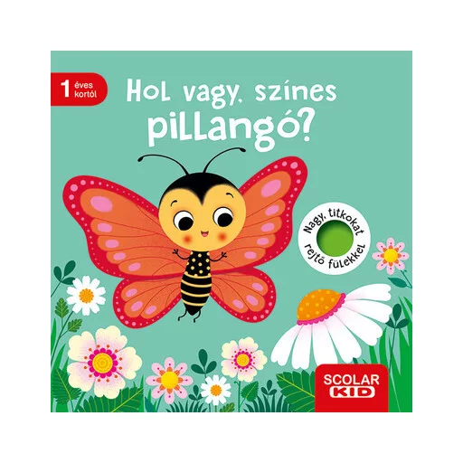 Hol vagy, színes pillangó? - Klara Tünner